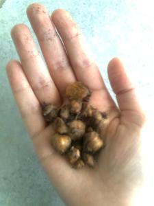 Изображение0594