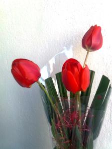 Изображение1101